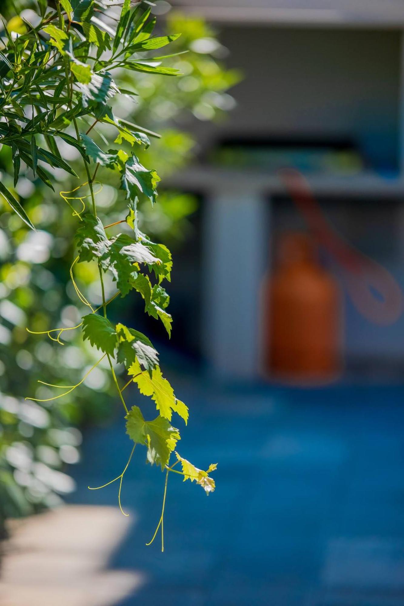 Villa Essenza - Luksuzne Kuce Za Odmor Vodice Kültér fotó