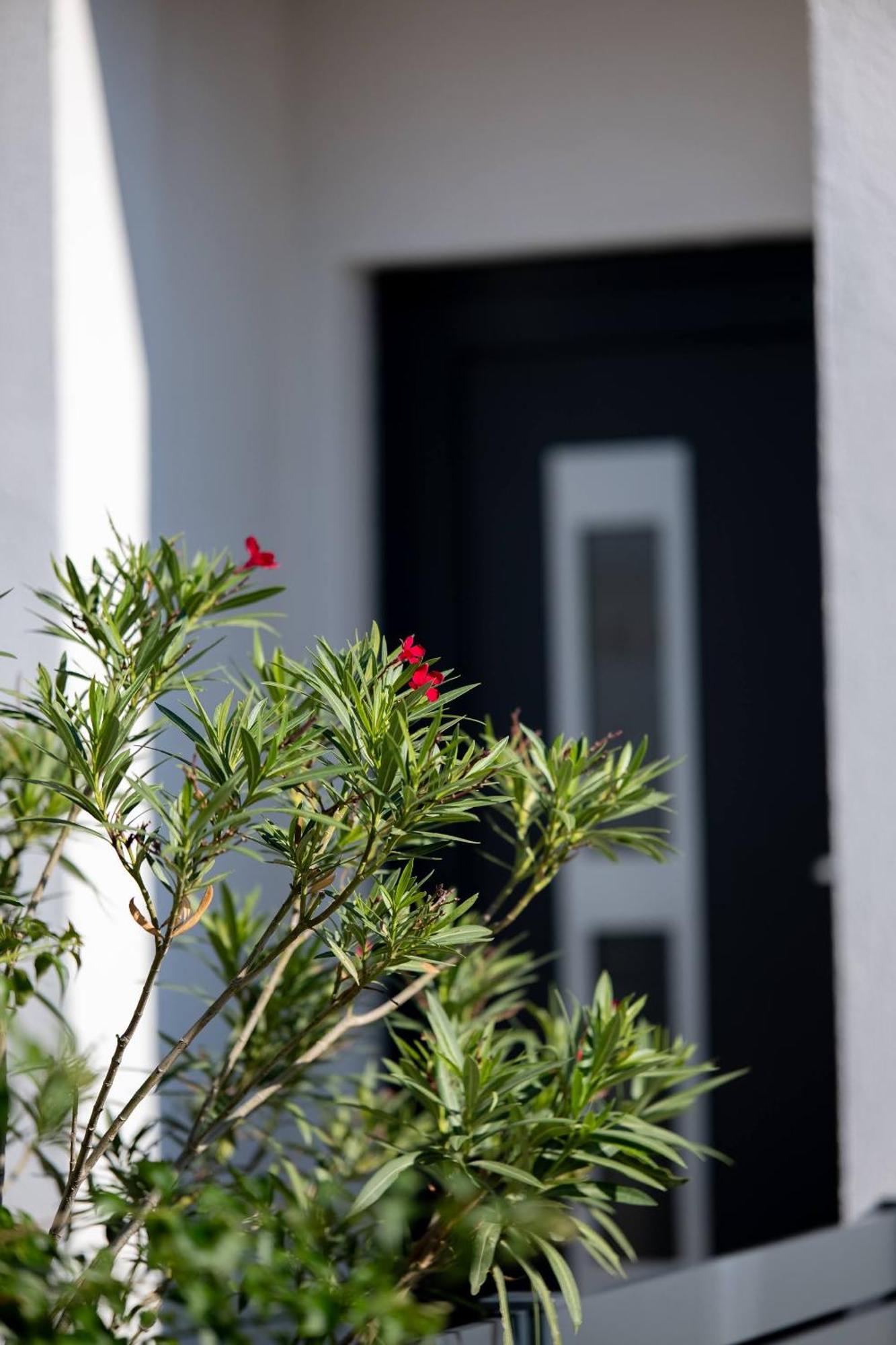 Villa Essenza - Luksuzne Kuce Za Odmor Vodice Kültér fotó